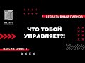 ЧТО ТОБОЙ УПРАВЛЯЕТ?! #редактивныйгипноз  #СтудиягипнозаИндиго