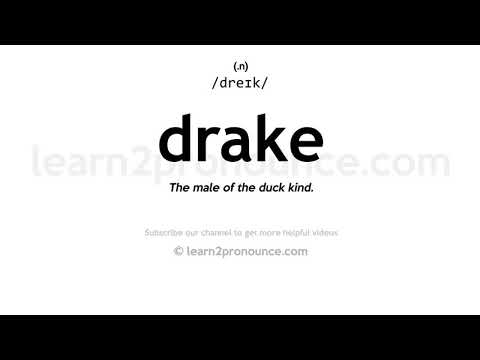 Video: Obeplul drake zeměkouli?