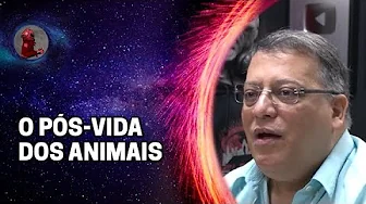 imagem do vídeo "...E ESSE GATO SAÍA DO CORPO" com Wagner Borges | Planeta Podcast (sobrenatural)