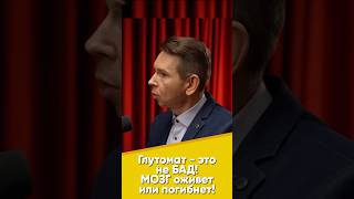 Глутамат - это не БАД! МОЗГ оживет или погибнет! #мозг #усилить #восстановить