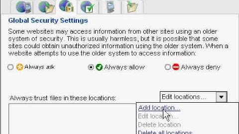Adobe Flash Player Security Manager