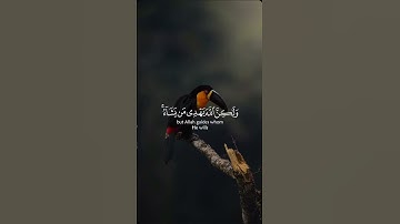 إنك لا تهدي من أحببت ولكن 🍃 | الآية 56 من سورة القصص تابعني لكي ترى المزيد ✨☝️🍃