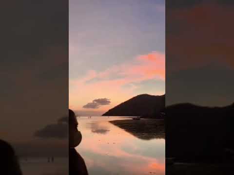 De opkomst van de mens - Homo Sapiens vindt beschavingen uit