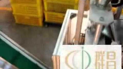 CCP HP450VB  Aerosol Spray Packaging machine,automatic  Horizontal Flow Wrapper