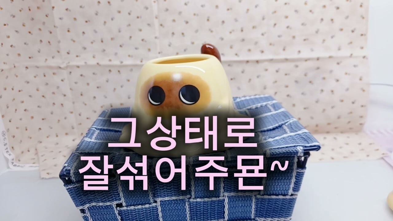 인형계 일상