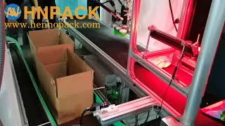 Hennopack zipper pouch bag spider robot case packer system screenshot 4