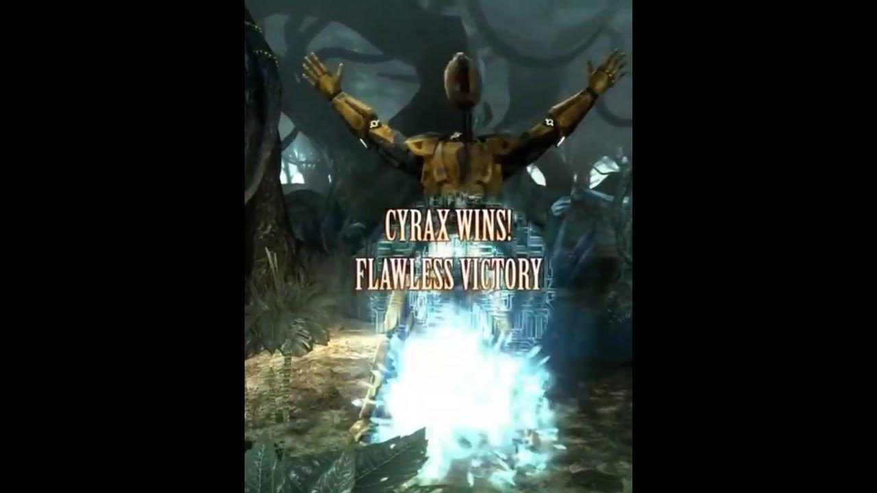 Mortal Kombat Flawless GIF - Mortal Kombat Flawless Victory