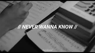 MØ - Never Wanna Know || Call Me By Your Name // Español