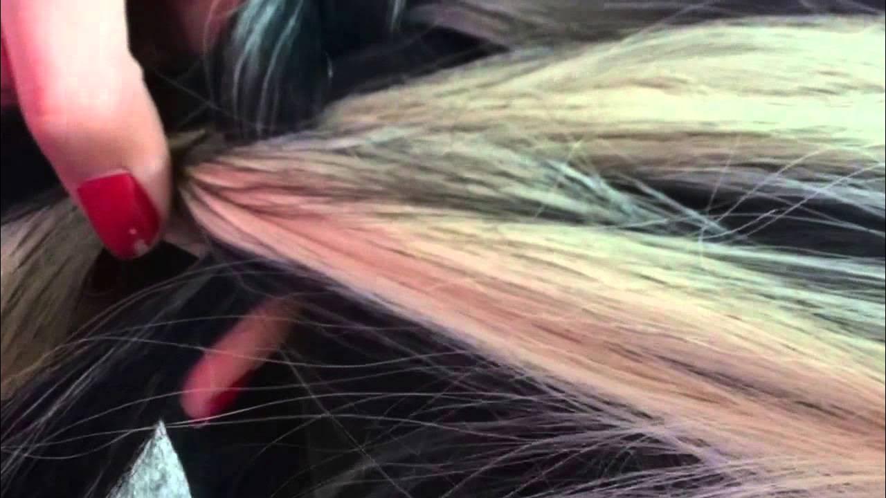 How to do a running braid on your horse's mane YouTube