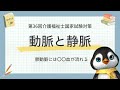 【36回介護福祉士国試対策】心臓と血管関連の問題を解くコツを解説します｜令和5年度