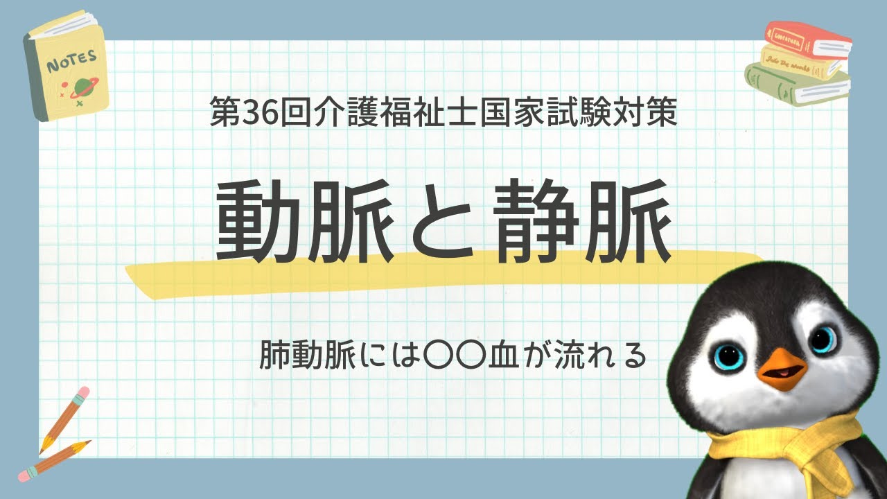 【36回介護福祉士国試対策】心臓と血管関連の問題を解くコツを解説します｜令和5年度