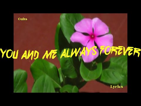 Cults || always forever || Lyrics video