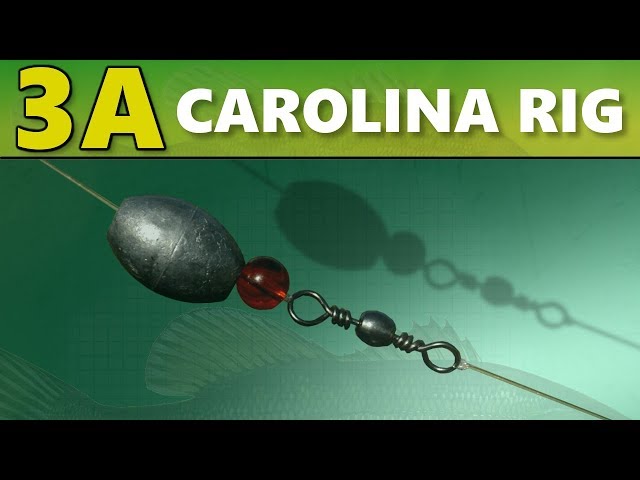 Carolina Rig Fishing: How to Rig a Carolina Rig for Laregmouth Bass