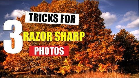 How to Take Sharp Photos - 3 Tips to Razor Sharp Photos