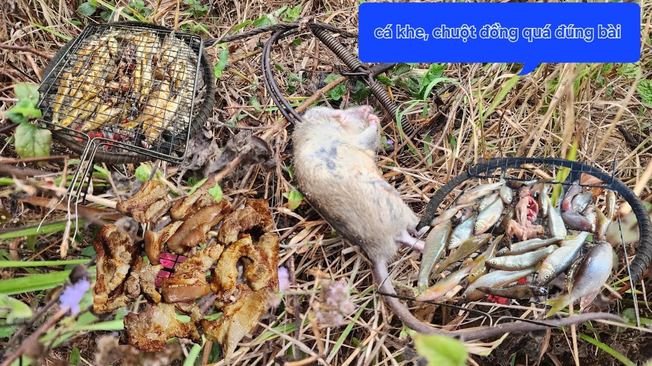 Lại có món đặc sản rừng núi - thợ sănvlong