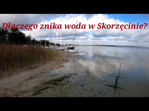 Wideo: Gdzie Znika Woda?