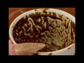 Leo A New Beginning Starts Today Coffee Cup Reading