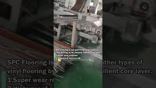 SPC Flooring Pandaboard