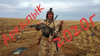 Охота в Казахстане Аркалык 2020г