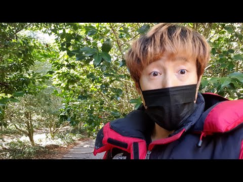 제주도 걷기 좋은 길 - 인간이 만든 수목원 VS 자연이 빚은 생태탐방로