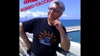 Video thumbnail of "ABBRONZATISSIMA COVER MIMMO VACCARO"