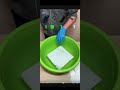 #papertowel #waterexperiments #experiment #experiment