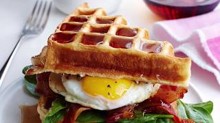 Quote Sandwich Rap - Make a Paragraph!