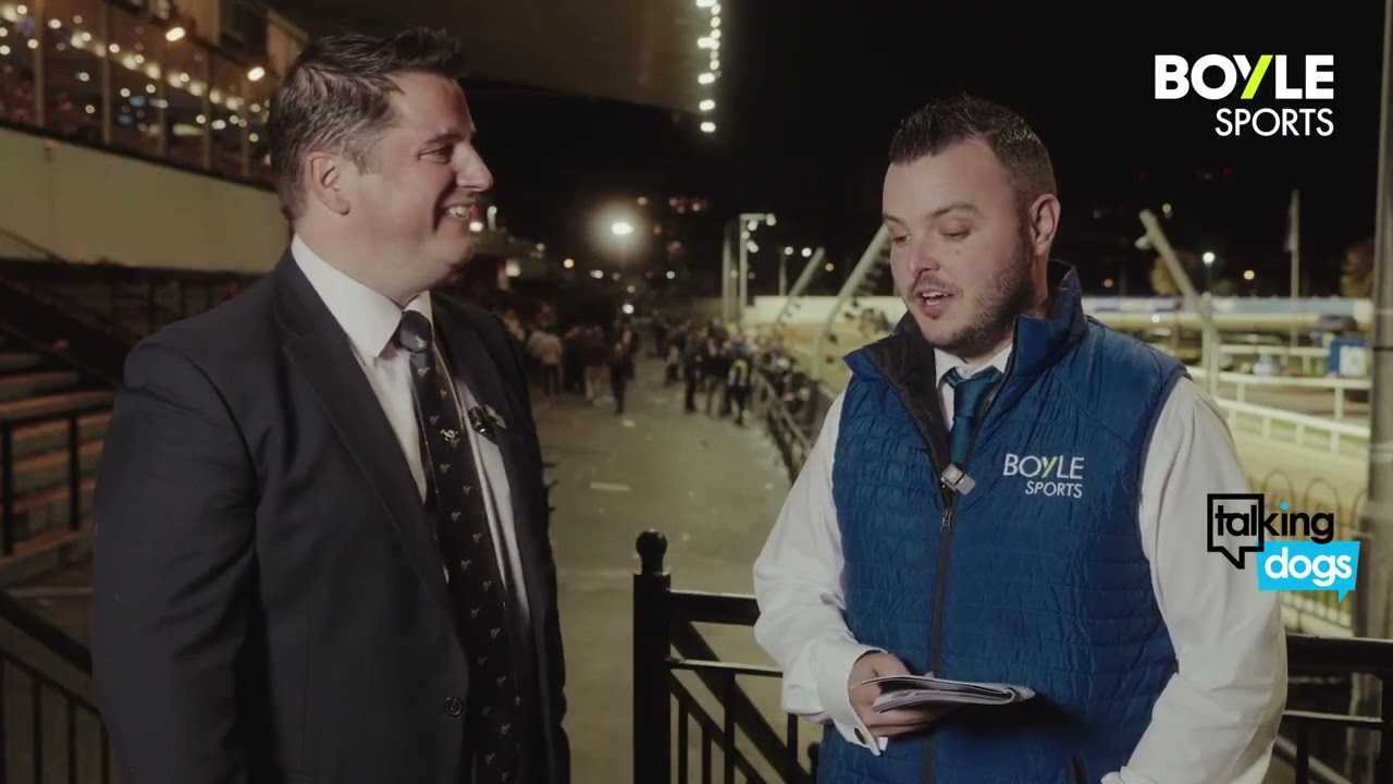 Финал ирландского дерби борзых BOYLE Sports 2025 года