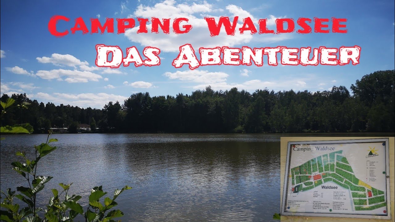 Camping Waldsee | das Abenteuer | puls: DIY Tipp fr Blumenliebhaber | The  Reading Fox