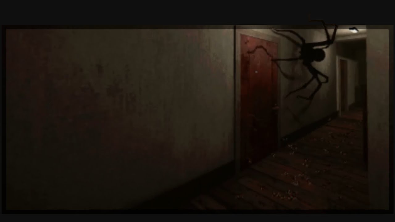 Spiders Are LURKING EVERYWHERE