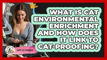 What Is Cat Environmental Enrichment And How Does It Link To Cat-proofing? - Happy Cat Handbook