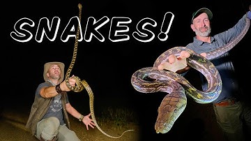 Catching RARE Snakes in Australia