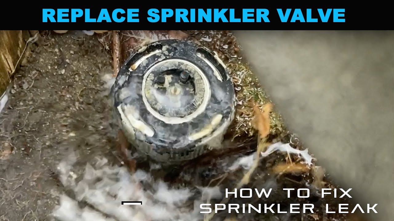 How to Fix a Sprinkler Leak SPRINKLER VALVE REPLACEMENT YouTube