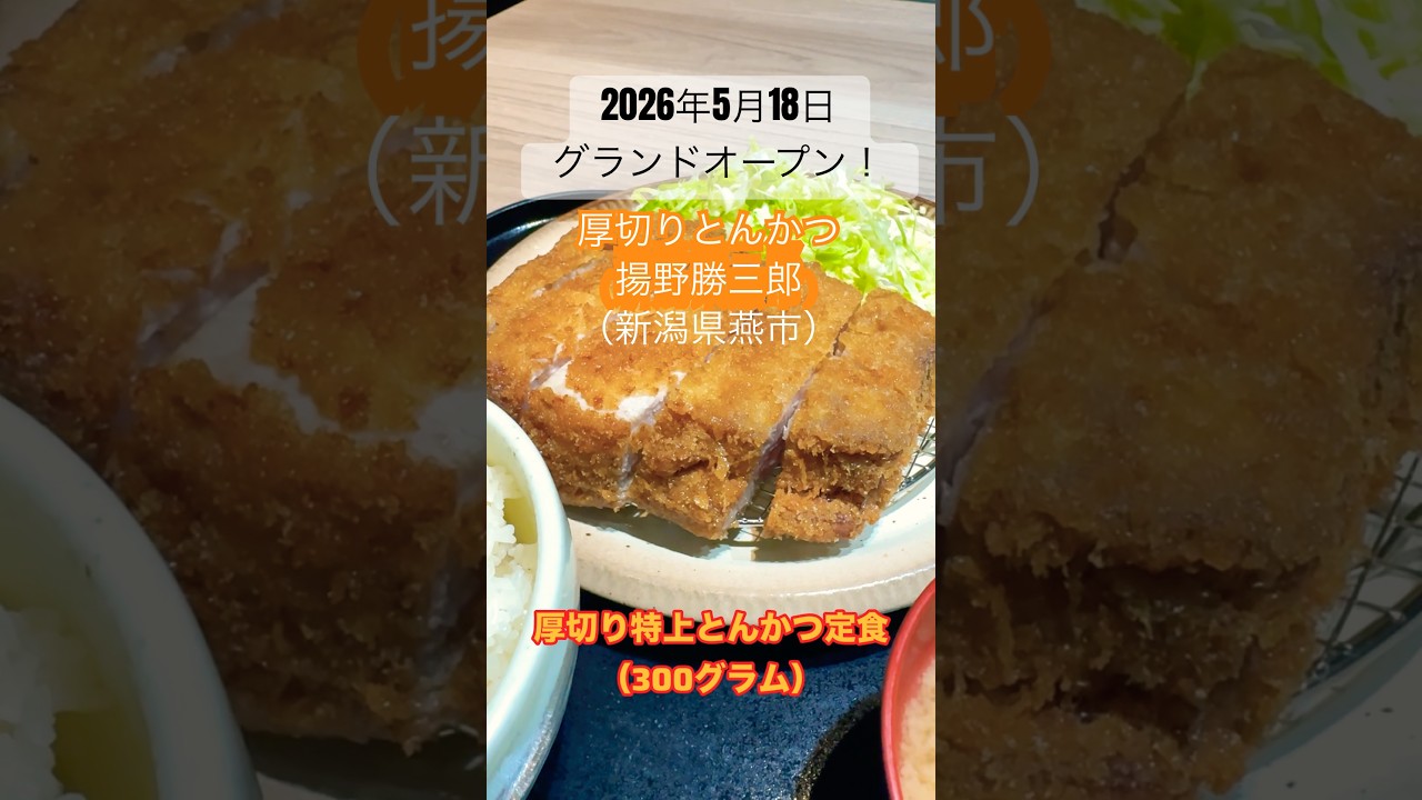 厚切りとんかつ 揚野勝三郎(新潟県燕市)!厚さが凄いのに柔らかい!リブロースの脂が甘い!とんかつ定食、かつ丼、あなたはどっち!? #新潟ディナー #新潟ランチ #新潟グルメ #とんかつ #デカ盛り