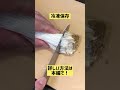 しめじとえのきの保存・冷凍保存#shorts #保存方法#きのこ