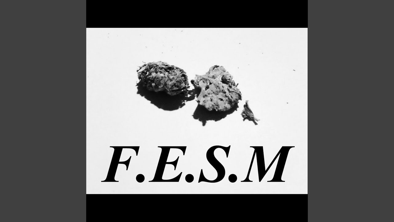 Watch F.E.S.M on YouTube Watch F.E.S.M on YouTube