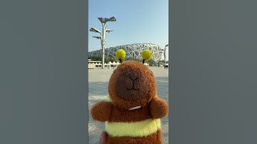 Capybara with APT #music #capybara #song