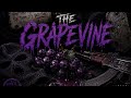 🍇 GRAPEVINE 🍇 (Hook)