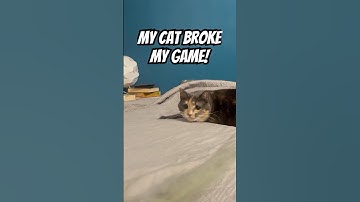 My cat broke the game... :| #devlog #gamedev #indiegame