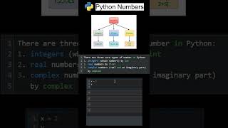 Integers, Float and Complex Python numbers.