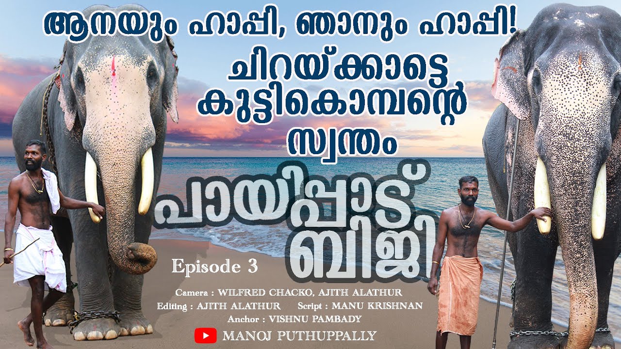 ചിറയ്ക്കാട്ടെ കുട്ടിക്കൊമ്പന്റെ സ്വന്തം ബിജി | Payippad Biji | Episode 3 | Manoj Puthuppally |