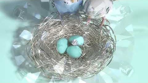 Tiffany & Co.—Engagement Diamonds