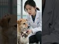 Vet Risked Everything to Save 2000 Animals from Illegal Lab Experiments