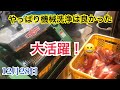 野菜洗浄機！購入して良かった