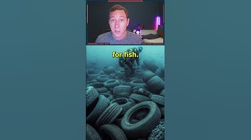 A Failed Experiment - 2 Million Tires In The Ocean