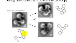 BIO204: Introduction to Organic Chemistry