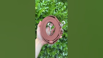 Handmade BioThane Leashes We Made Today