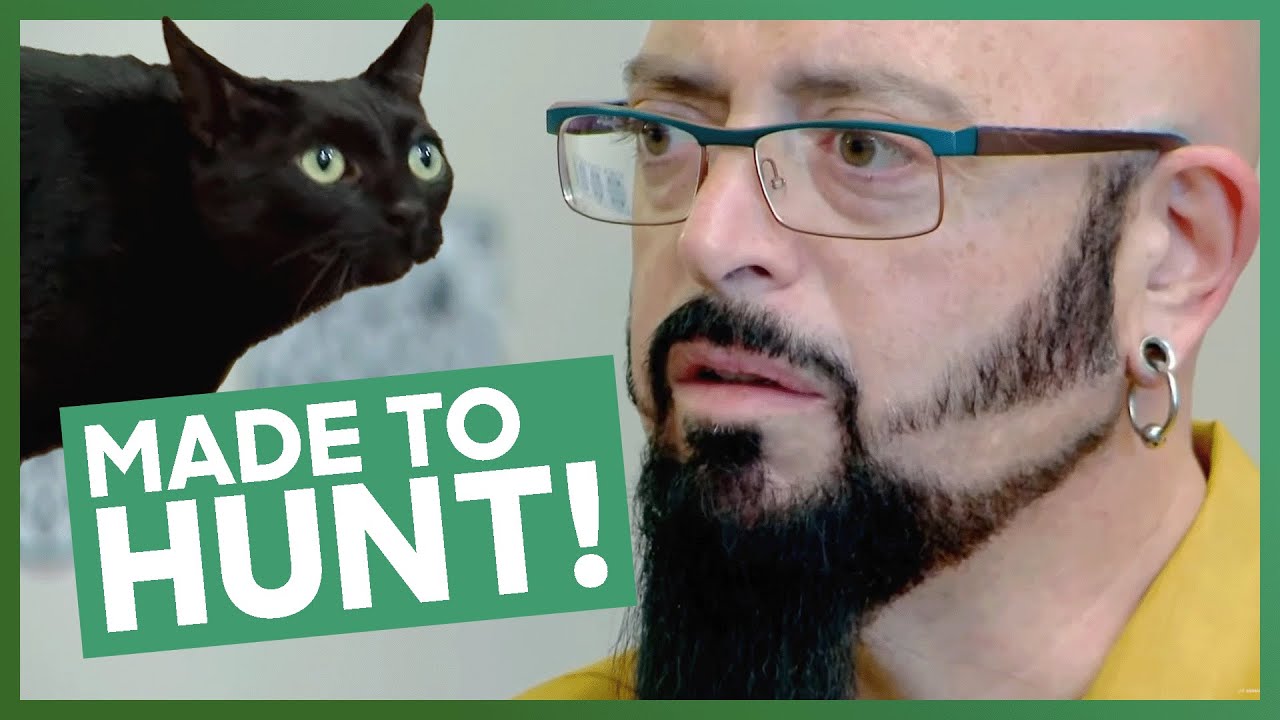 Playful Kitty is a PEE MENACE!! 🫣 | My Cat From Hell | Classic Episodes!