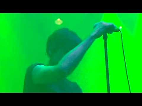 The Asylum Video
