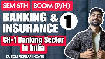 B.Com(Pro/H) | CH-1 Banking Sector In India | BANKING & INSURANCE |DSE Sem 6th|DU SOL|UNIT 1 BANKING